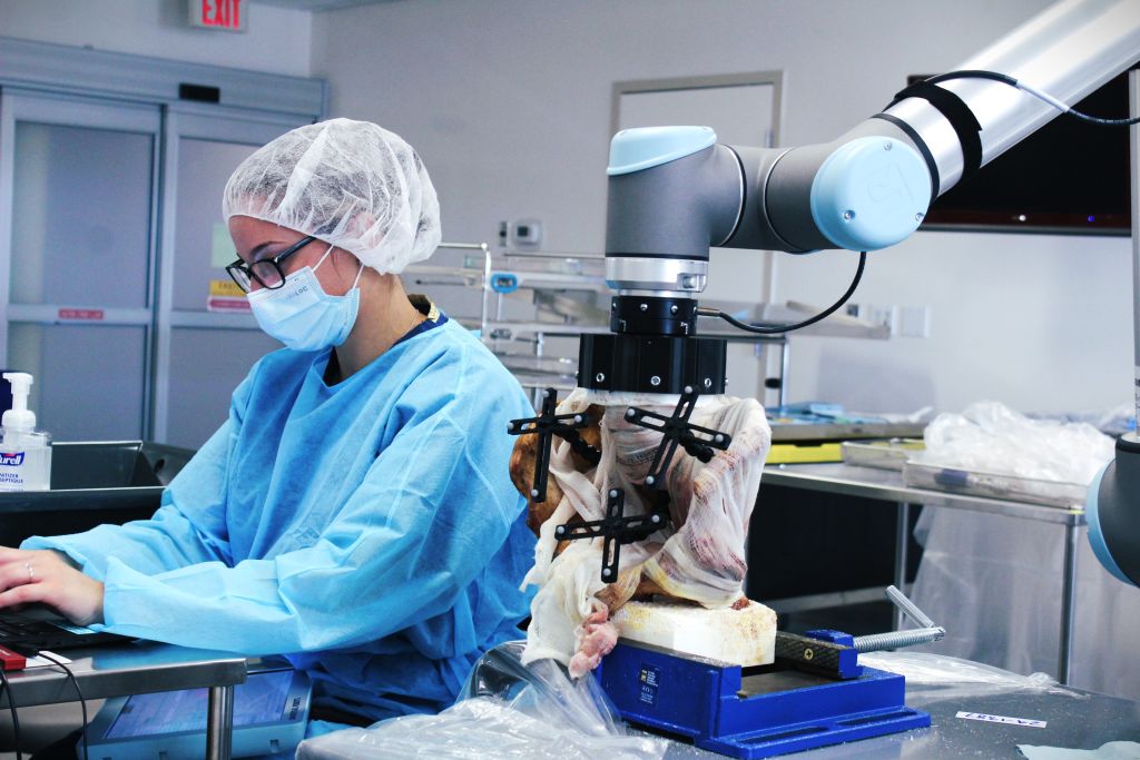 5 - Biomechanical Testing