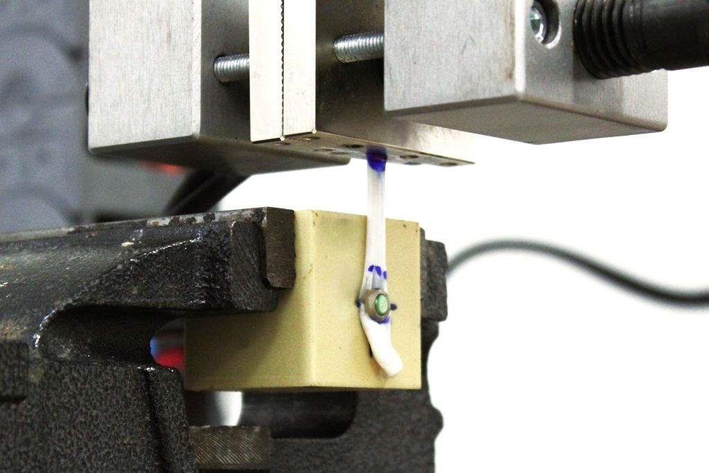 Pig Tendon Testing with Washer